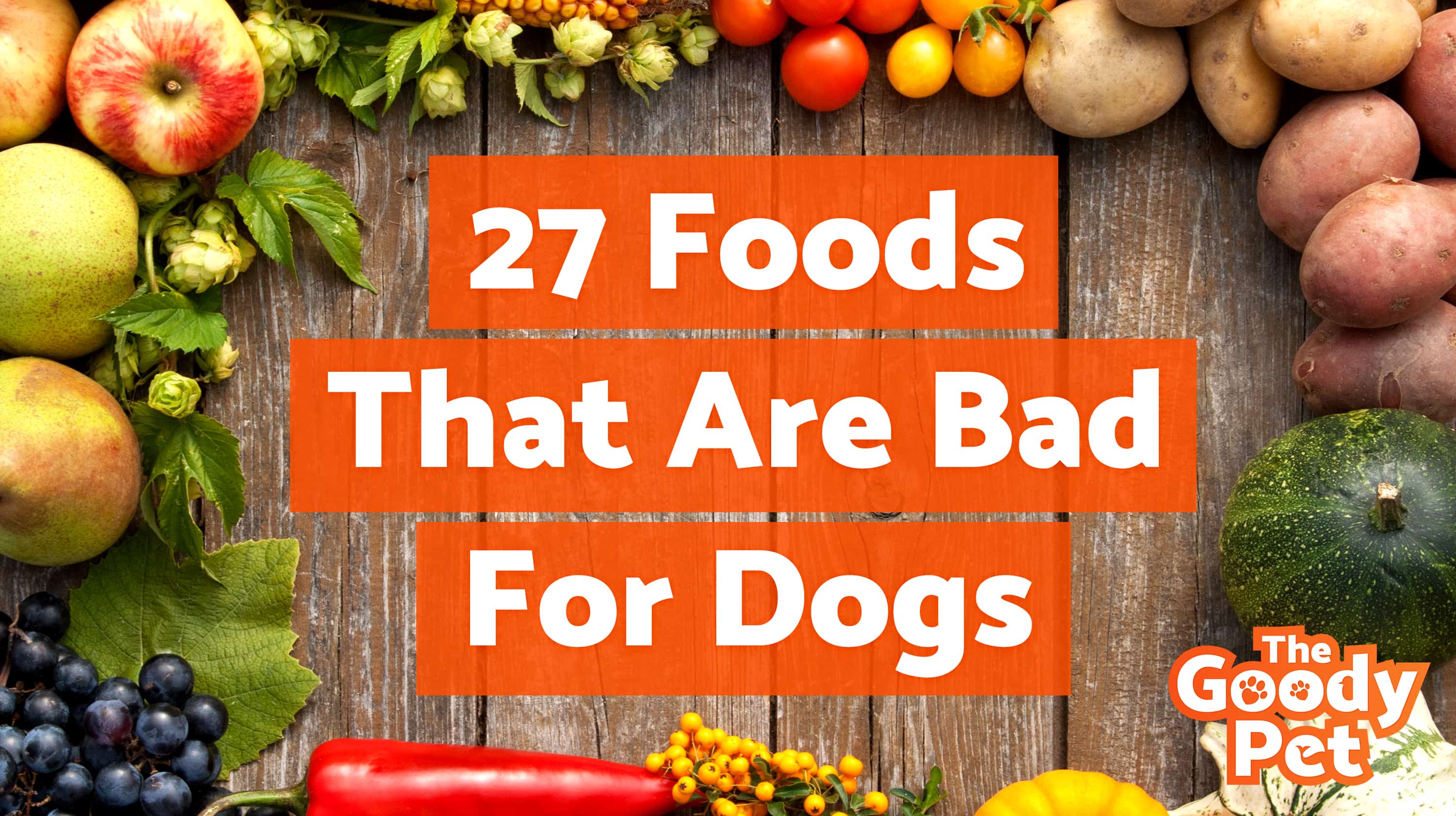 The 27 Worst Foods That Are Bad For Dogs (Warning Toxic!) TheGoodyPet
