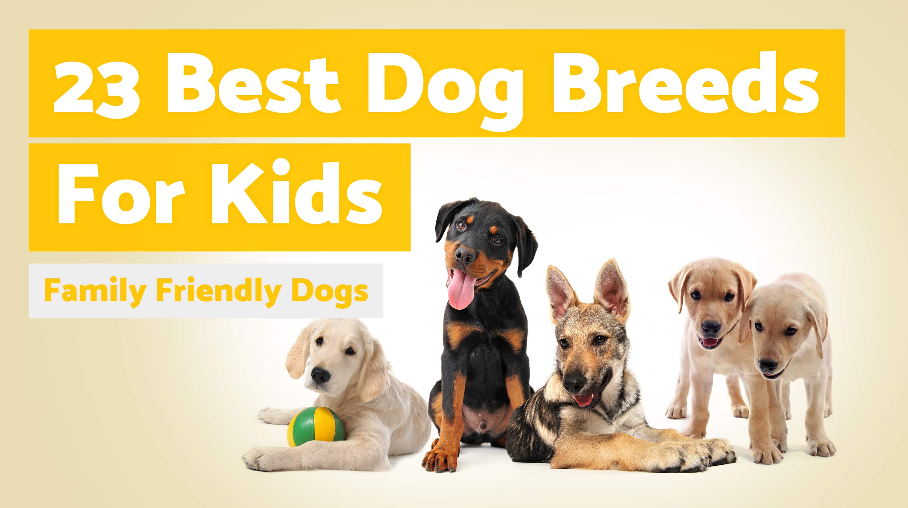 Top 23 Best Dog Breeds For Kids Family Friendly Thegoodypet