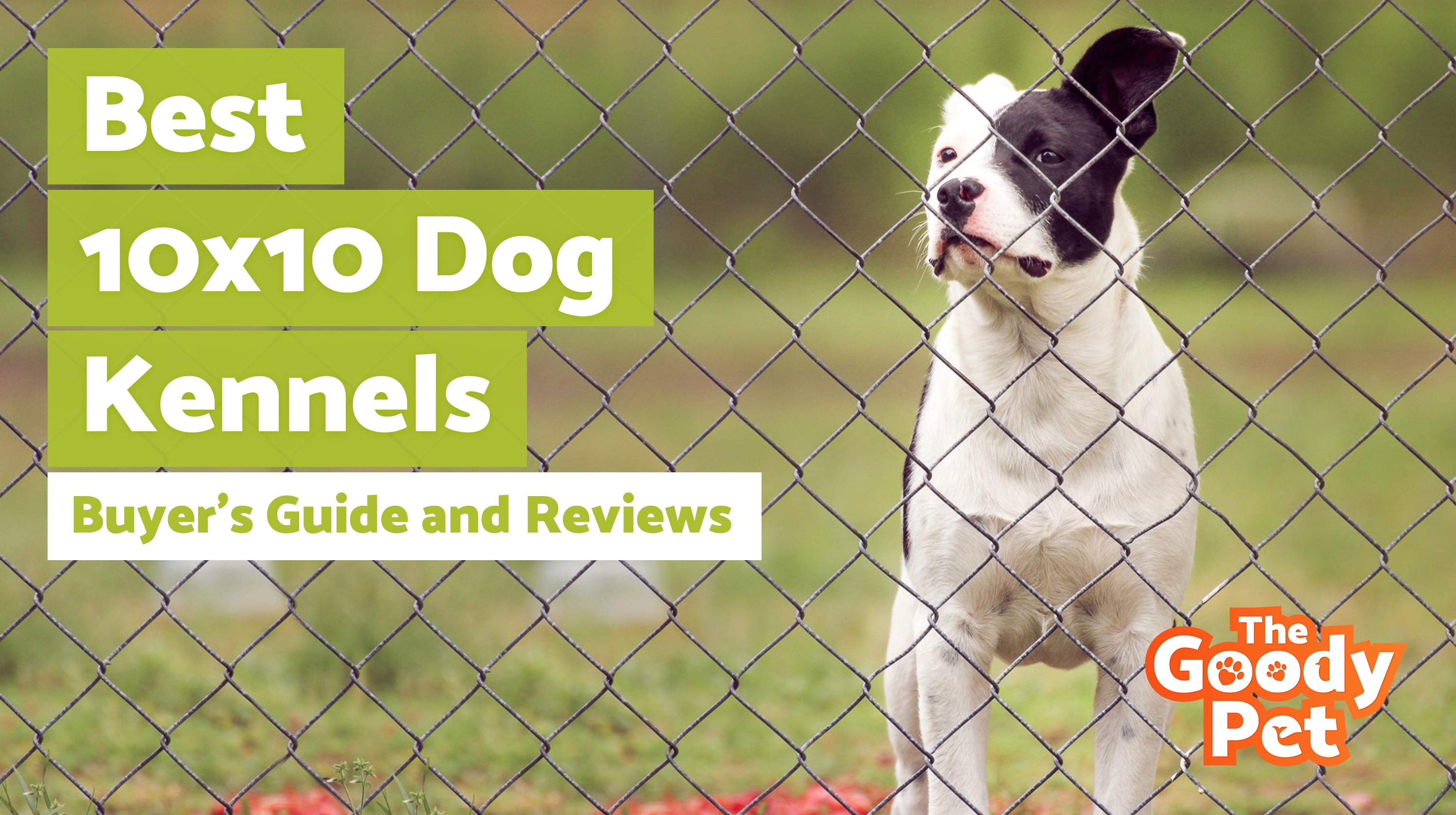 5 Best 10x10 Dog Kennels (January 2020) | TheGoodyPet