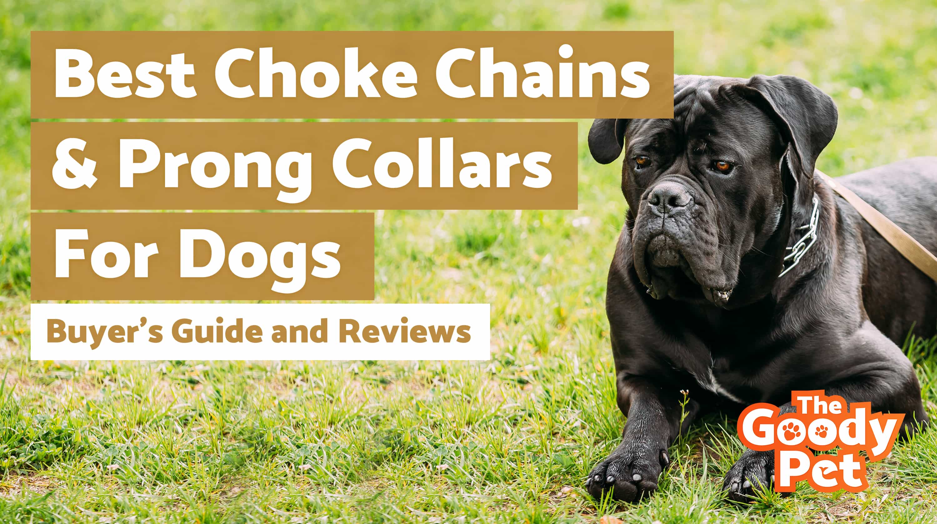prong dog collars choke dogs thegoodypet puppy human chart pet age