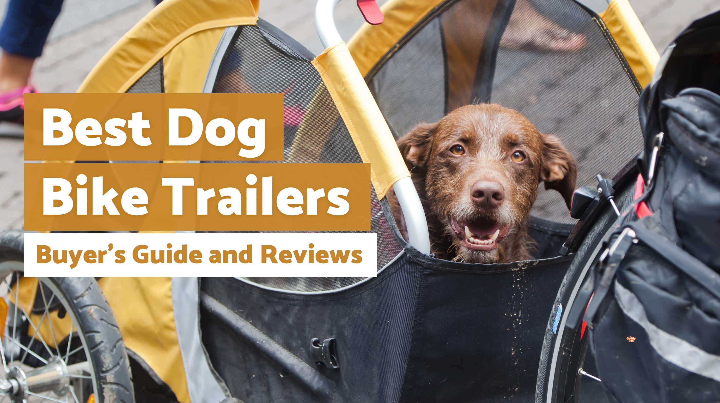 dog the trailer