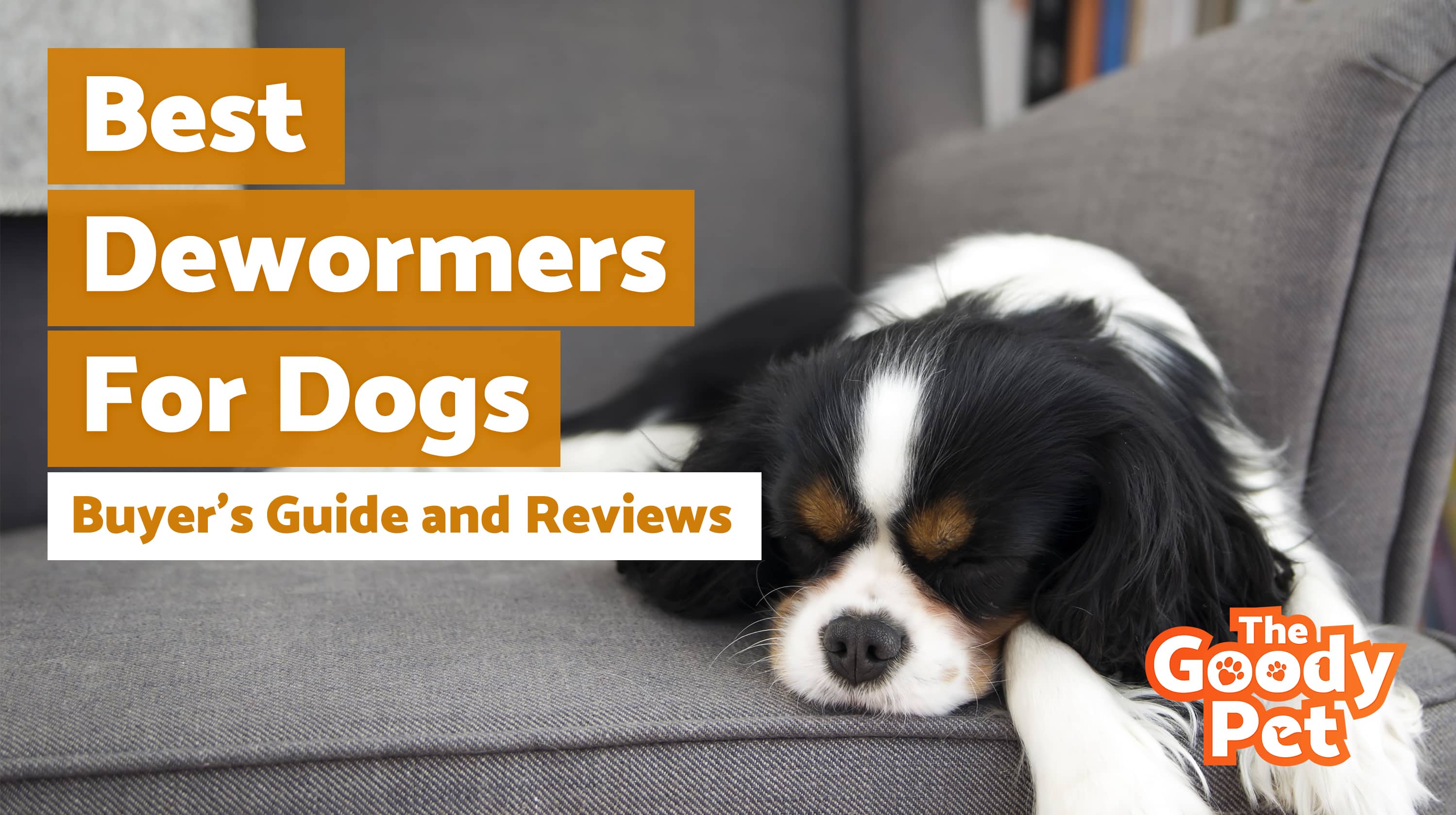 8 Best Dog Dewormers For Tapeworms Roundworms Hookworms Ringworms   Best Dog Dewormers.webp