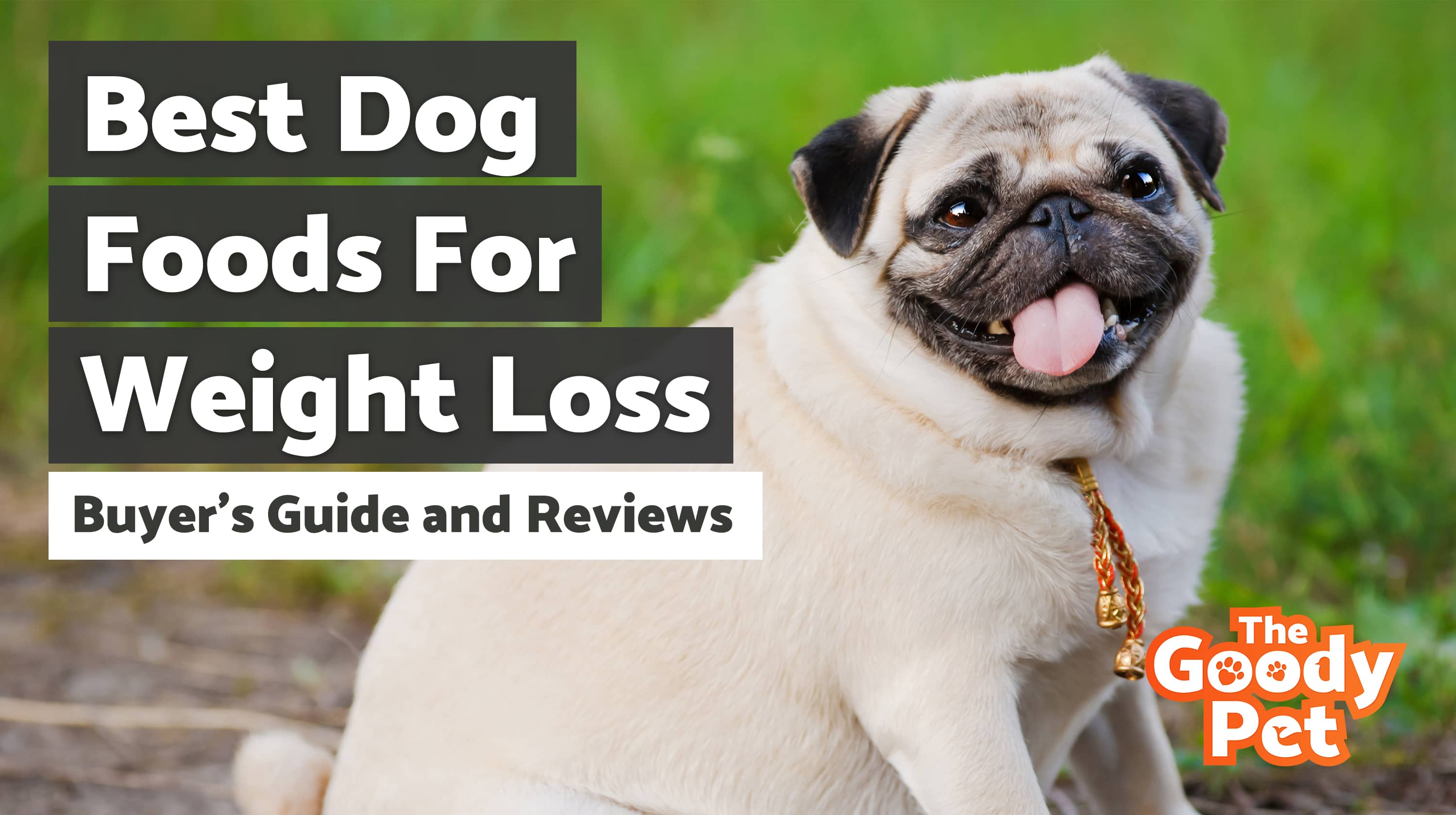 8 Best Dog Foods For Losing Weight (January 2020) | TheGoodyPet