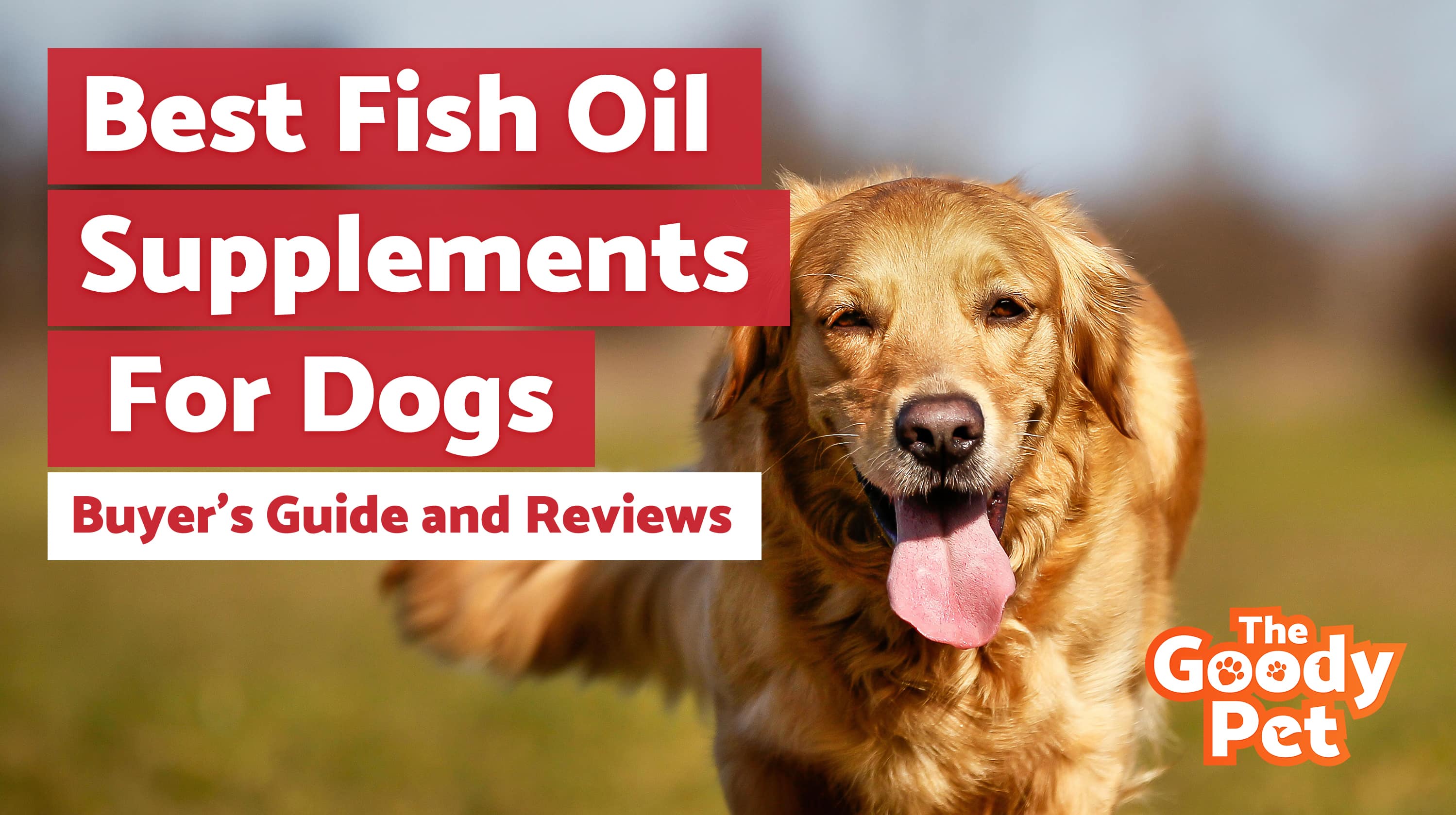 6 Best Fish Oil Supplements For Dogs (December 2019) TheGoodyPet