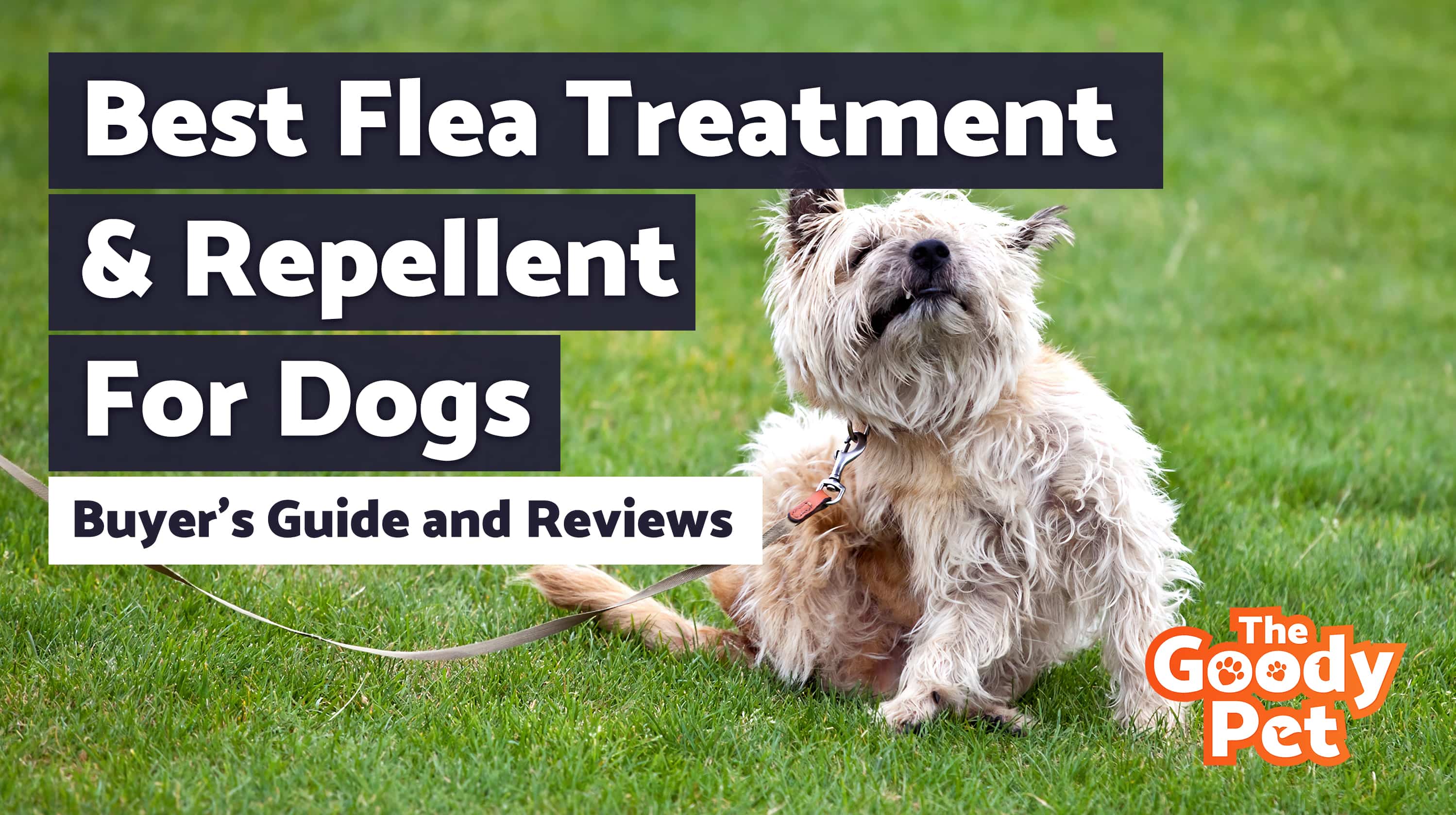 8 Best Dog Flea Treatments & Repellents (March 2020 ...