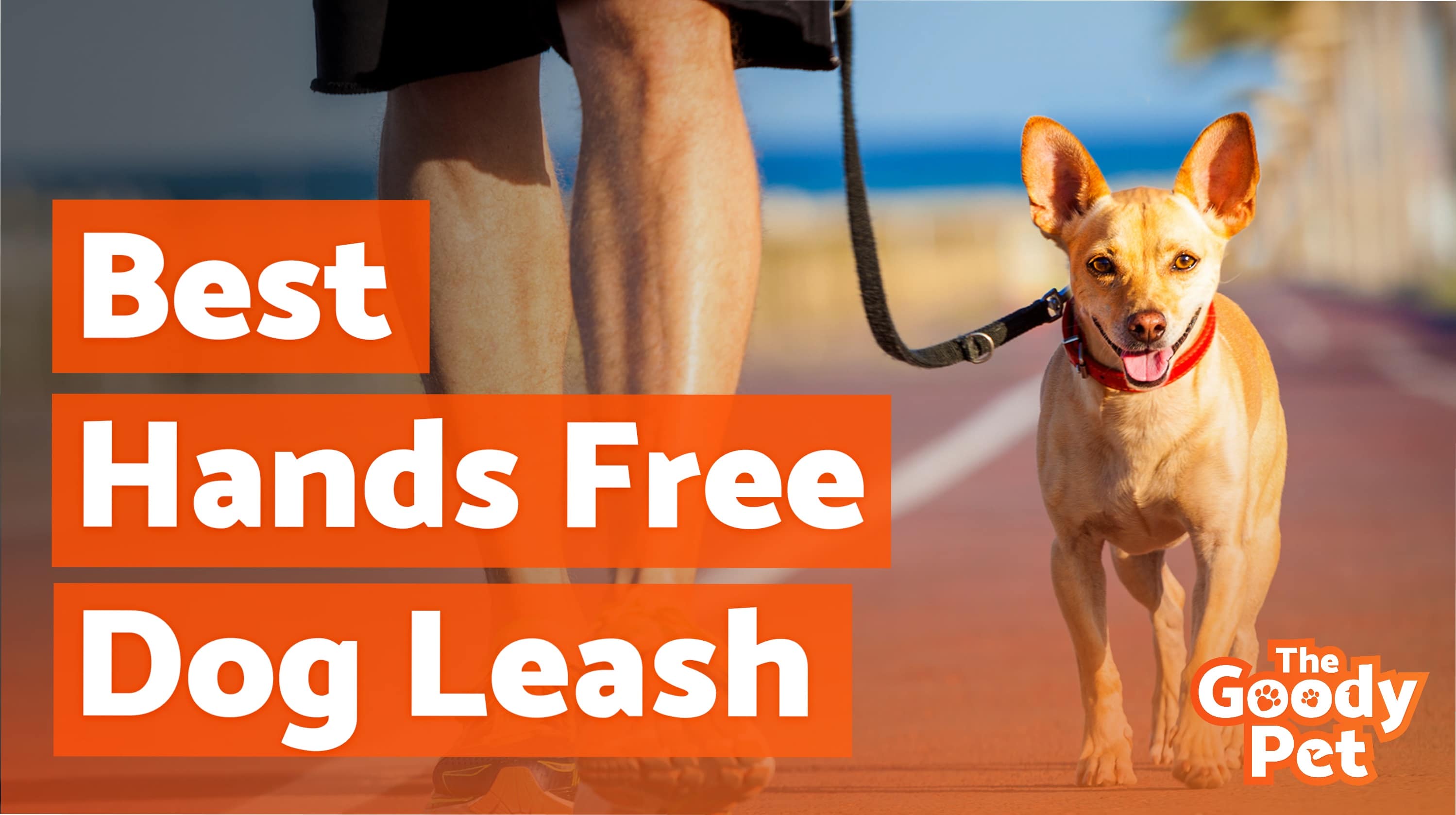 Best Hands Free Dog Leashes For Running March 2020 TheGoodyPet   Best Hands Free Dog Leash.webp