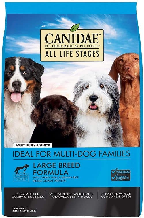 canidae large breed