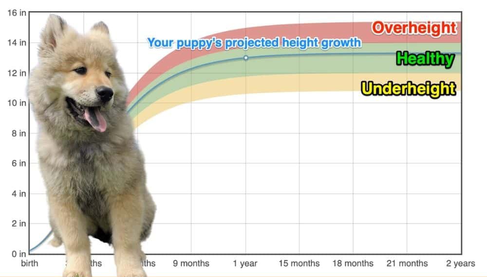 what vaccinations should a eurasier puppy receive after birth