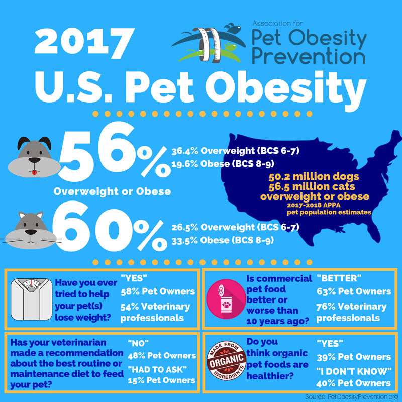 Checking Puppy Weight Poster by Retales Botijero 