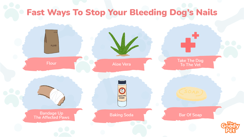 how do you stop the bleeding of a dog nail