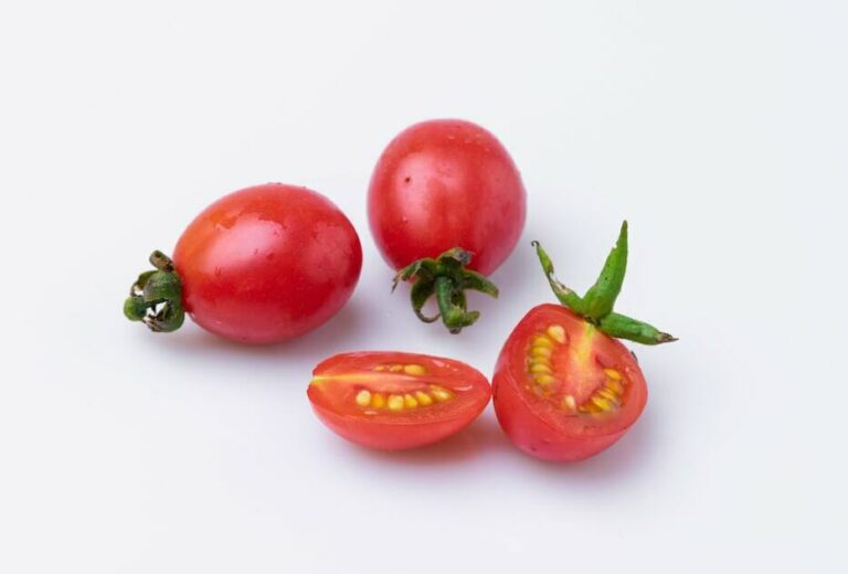 Can Dogs Eat Grape Tomatoes? Spoiler! Only When They Are Of The Right Color - The Goody Pet