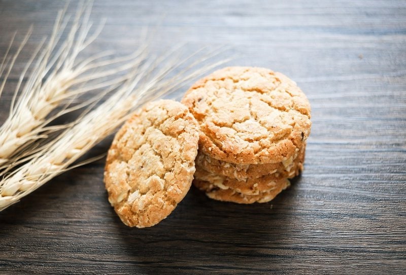 Can Dogs Eat Oatmeal Cookies? Here's Why They Should Avoid - The Goody Pet