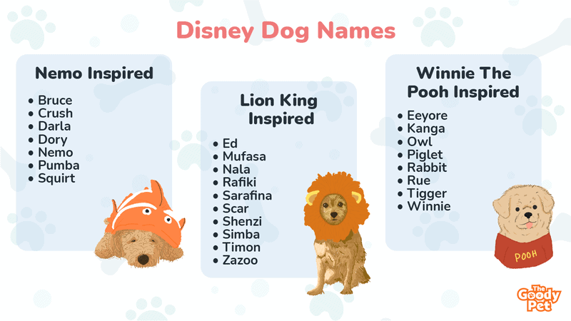Disney inspired cute disney names for dogs For your new puppy