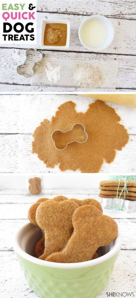 26 Mouth-Watering Homemade DIY Natural Dog Treats - The Goody Pet