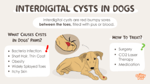 is hydrocortisone safe for dogs to lick