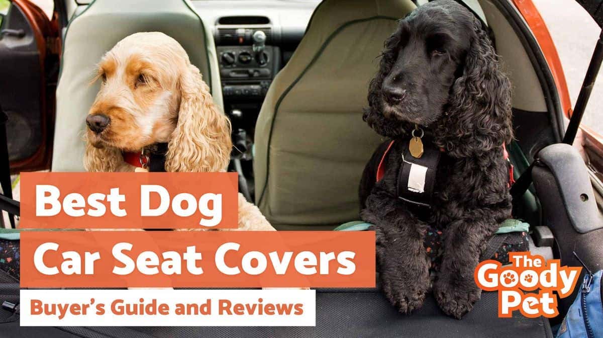 The 10 Best Dog Seat Covers of 2023, Tested and Reviewed