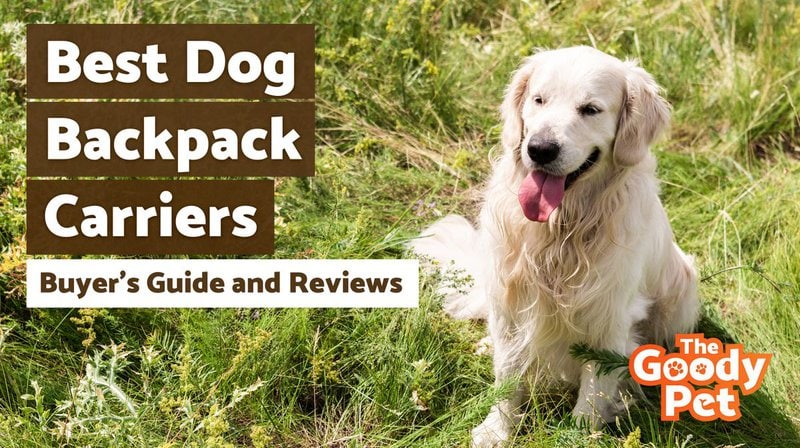 The 8 Best Dog Backpack Carriers of 2023