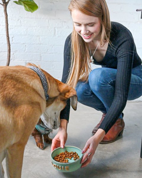 12 Best Senior Dog Foods (January 2024: Reviews) - The Goody Pet