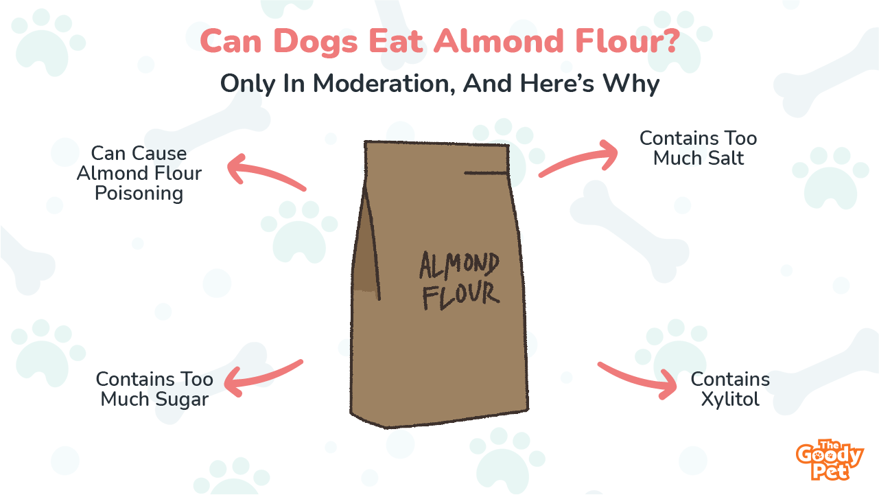 can dogs eat almonds flour