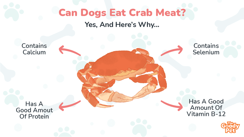 can dogs eat crab sticks