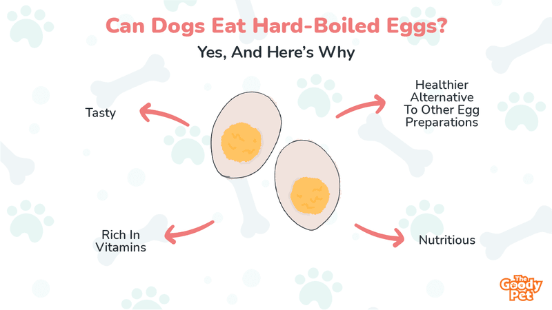 are hard boiled eggs safe for cats and dogs