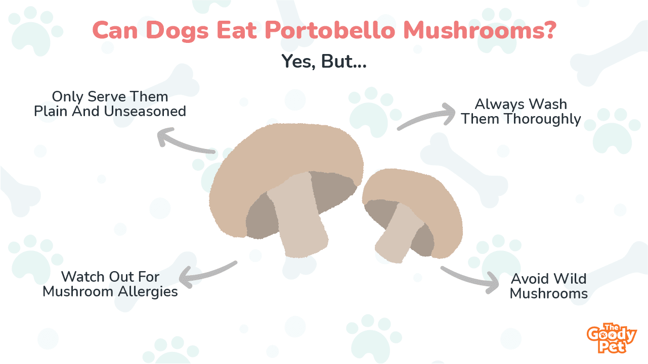 do dogs eat mushrooms