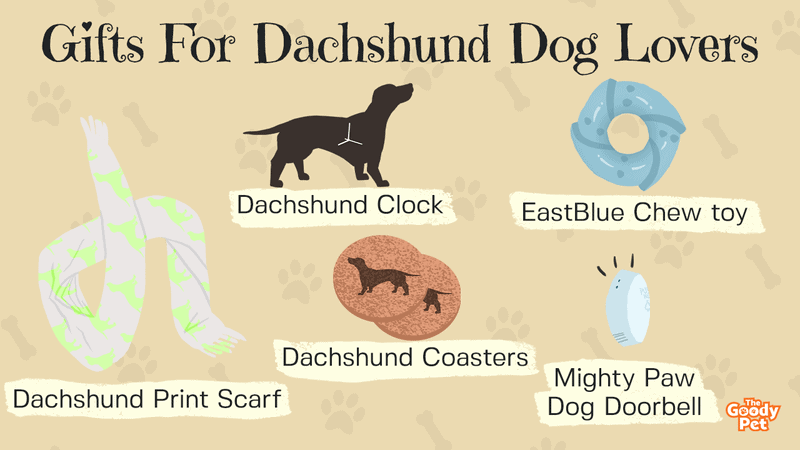 Dachshund Measuring Spoons Set, Ceramic Dachshund Gift for Dachshund  Lovers, Dog Mom Gift Ideas, Dog Lover Gift