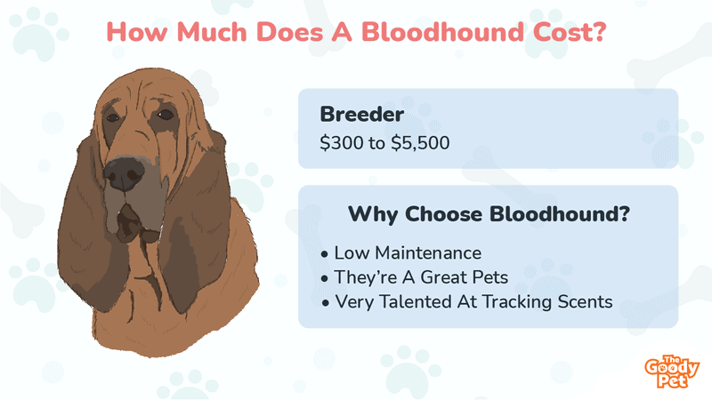 Do Bloodhound Bark A Lot