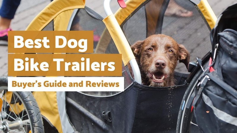 Retrospec Rover Waggin Review eBike Trailer Review