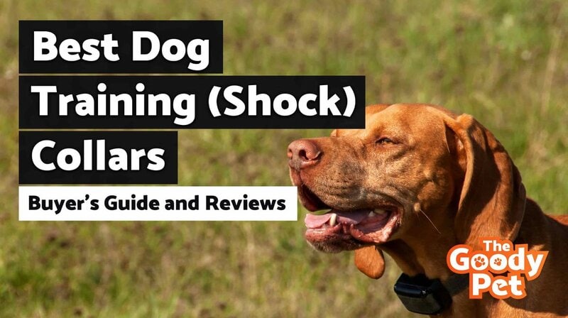 Amazon.com: Bousnic Dog Shock Collar 2 Dogs (5-120Lbs) - 3300 ft Waterproof Training  Collar for Dogs Large Medium Small with Rechargeable Remote, Beep (1-8)  Vibration (1-16) and Humane Shock (1-99) Modes : Pet Supplies