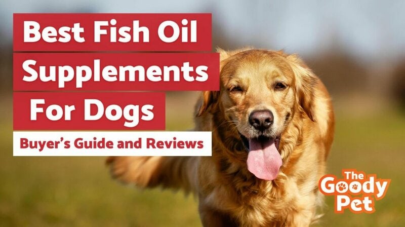 6 Best Fish Oil Supplements For Dogs (May 2022: Reviews) - The Goody Pet