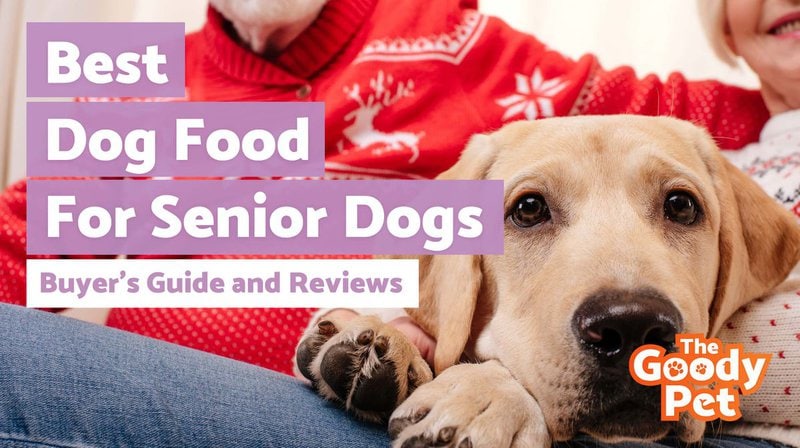 what is a good soft dog food for older dogs
