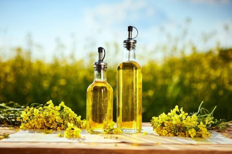 Can Dogs Have Canola Oil? The Top Pros & Cons Of Feeding Dogs Canola ...