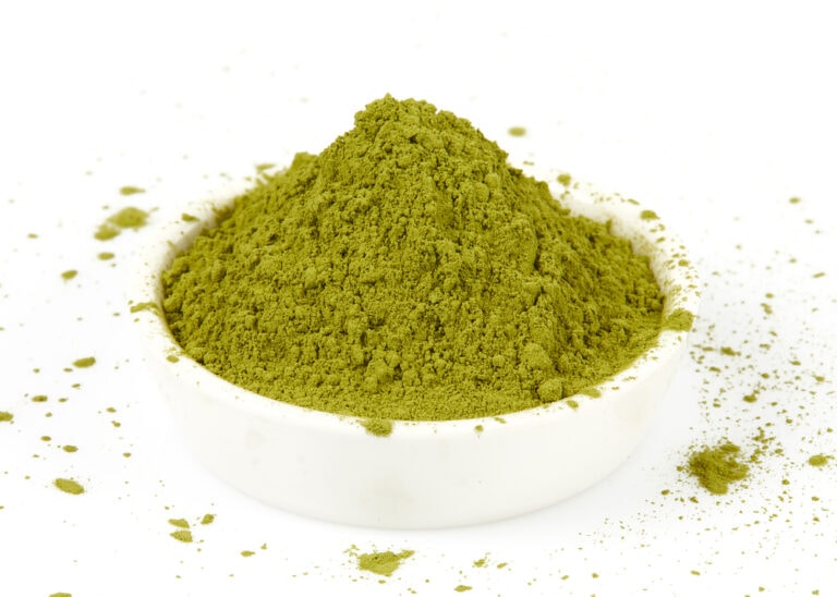 Can Dogs Have Matcha? 4 Green Benefits It Brings When Fed In